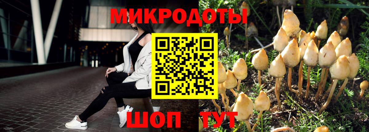 Псилоцибиновые грибы мицелий  Вход с VPN  Кизляр 